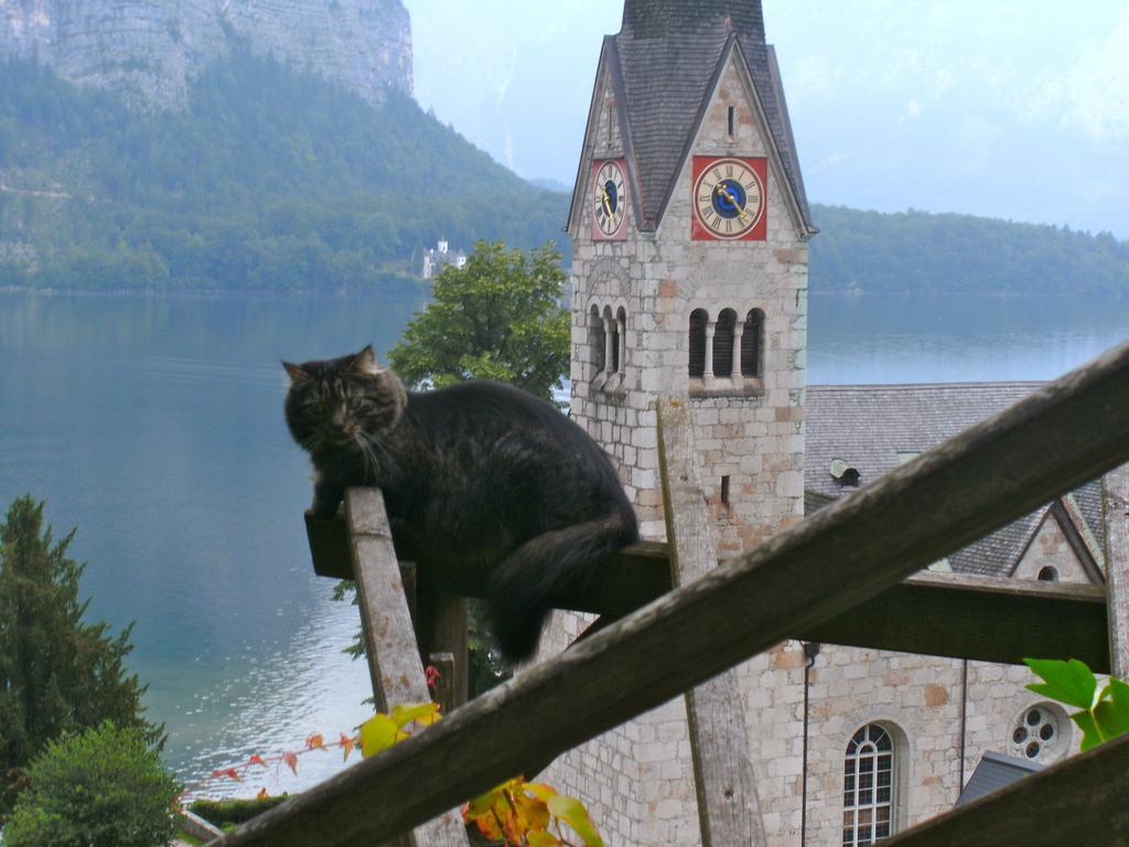 Haus Salzberg Apartamento Hallstatt Exterior foto